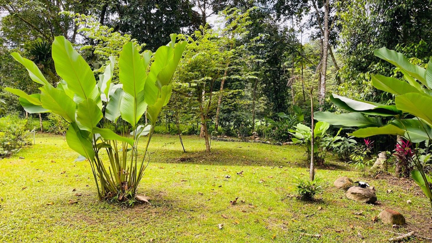 4576 Jungle Retreat in Tres Rios 30