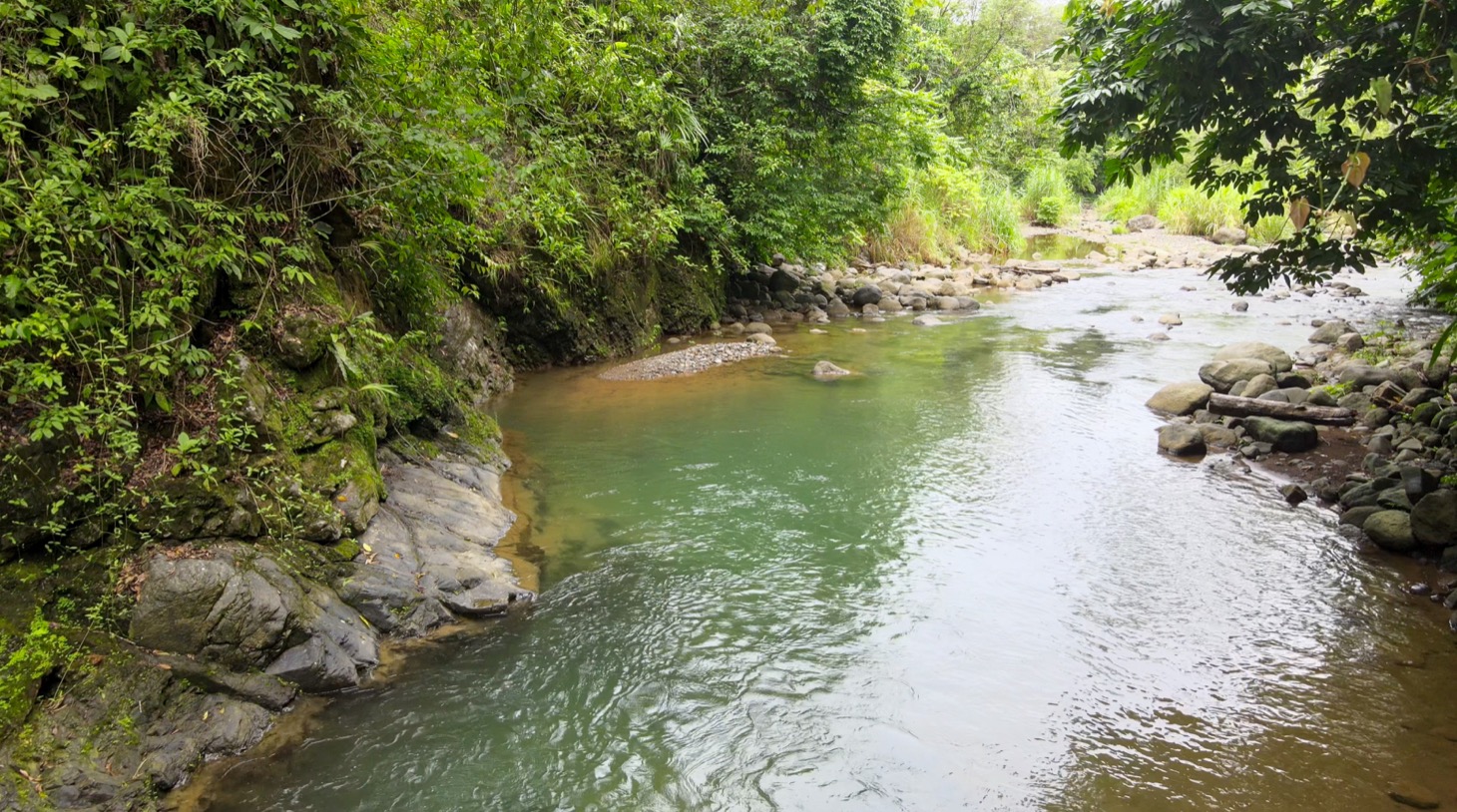 4576 Jungle Retreat in Tres Rios 31