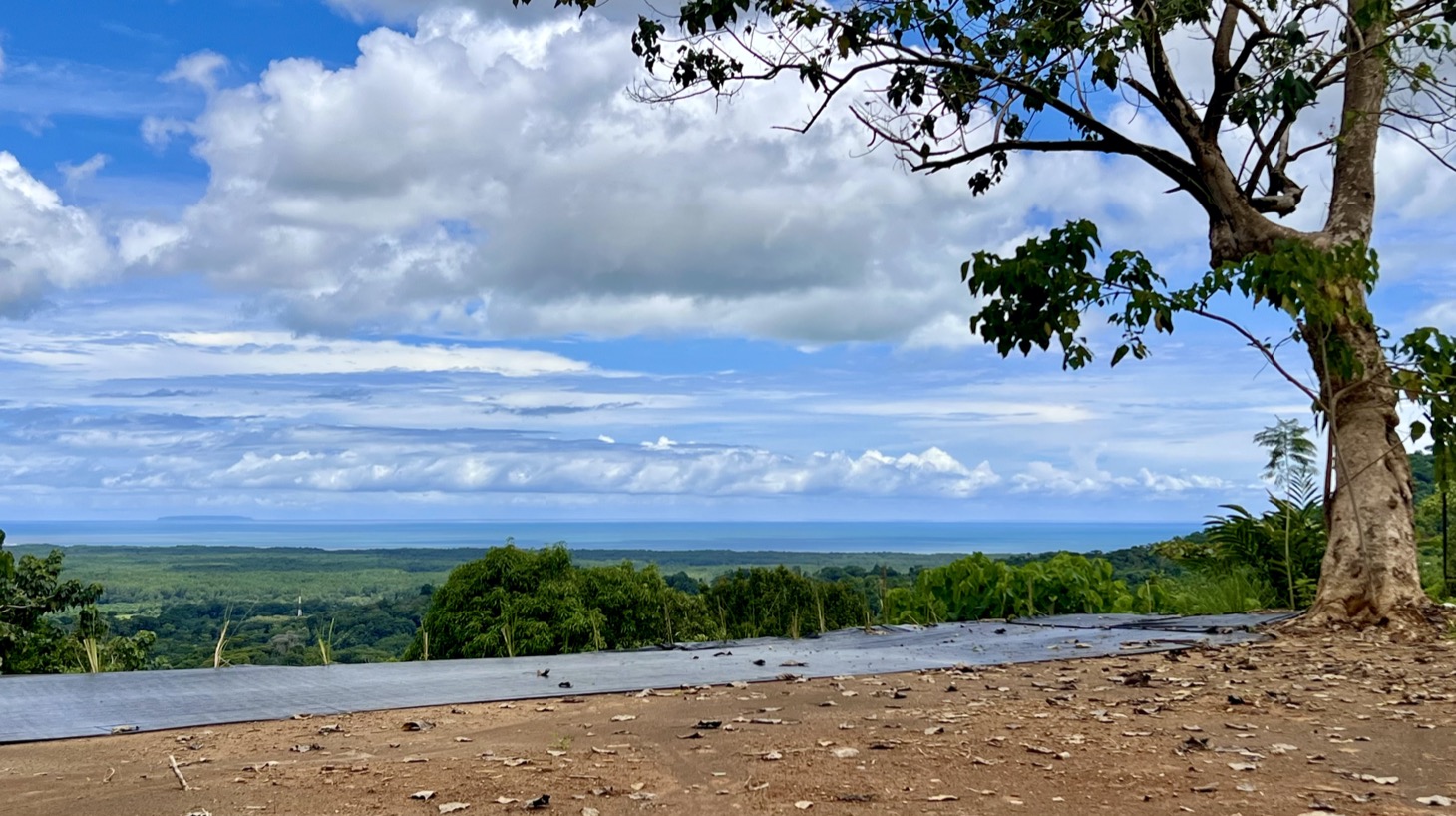 4924 4 bedroom House San Buenas 45