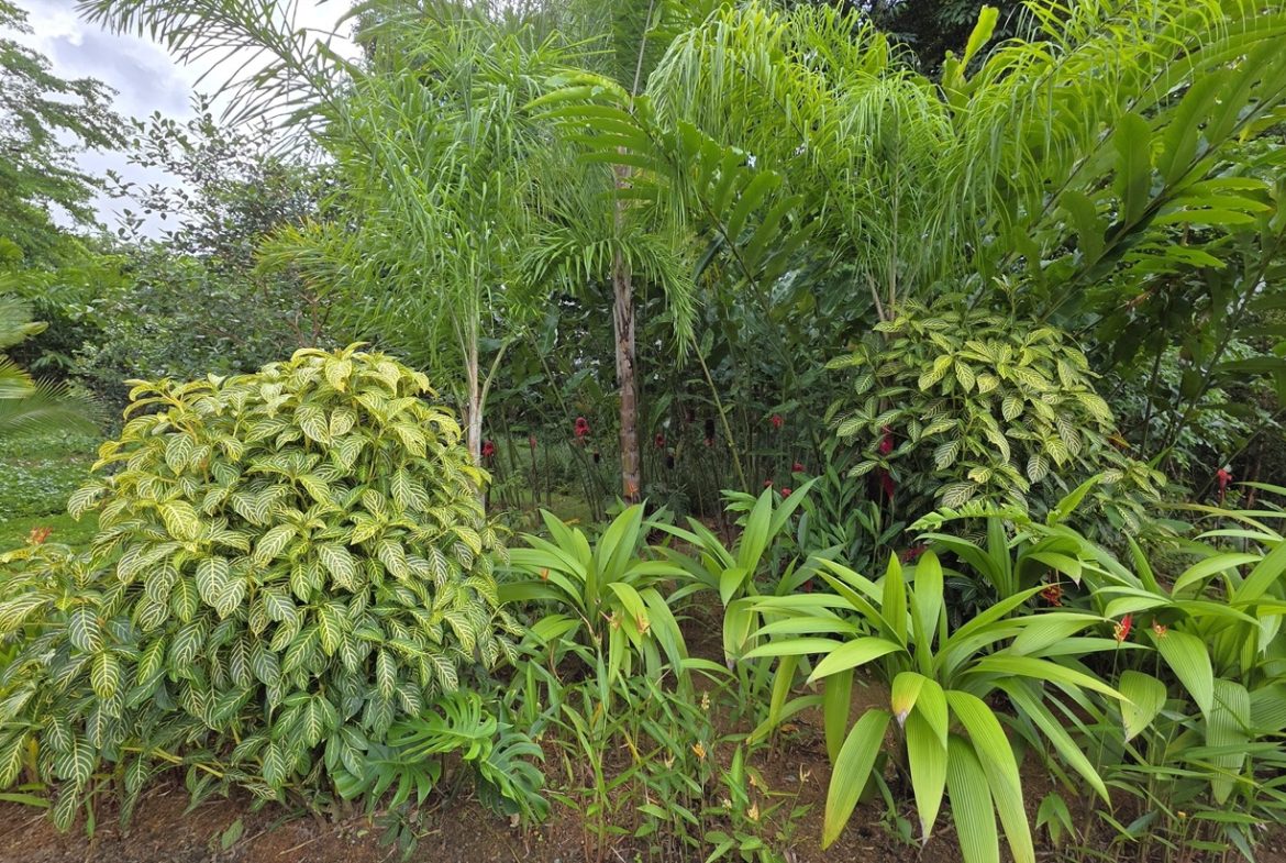 PROPERTY WITH VALLEY VIEWS IN A GATED COMMUNITY, IN CHONTALES – 0.78 ACRES