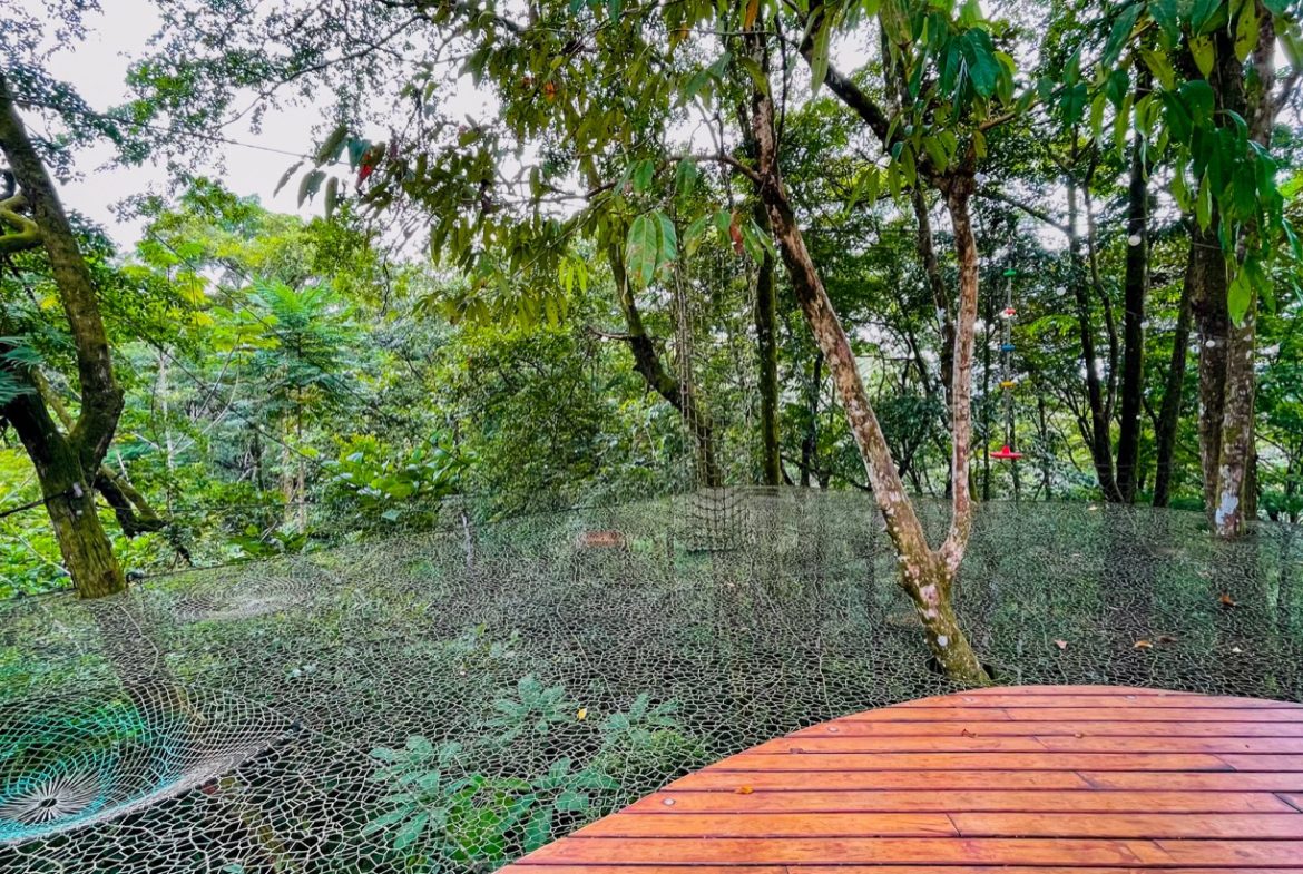 JUNGLE PROPERTY WITH THREE BEDROOMS, IN LOS JARDINES DEL MORETE UVITA – 1.89 ACRES, Uvita, Costa Rica — photo 6