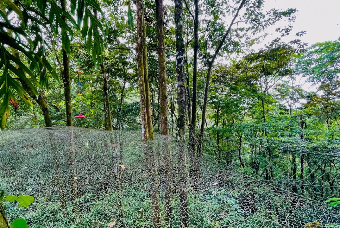 JUNGLE PROPERTY WITH THREE BEDROOMS, IN LOS JARDINES DEL MORETE UVITA – 1.89 ACRES, Uvita, Costa Rica — photo 7