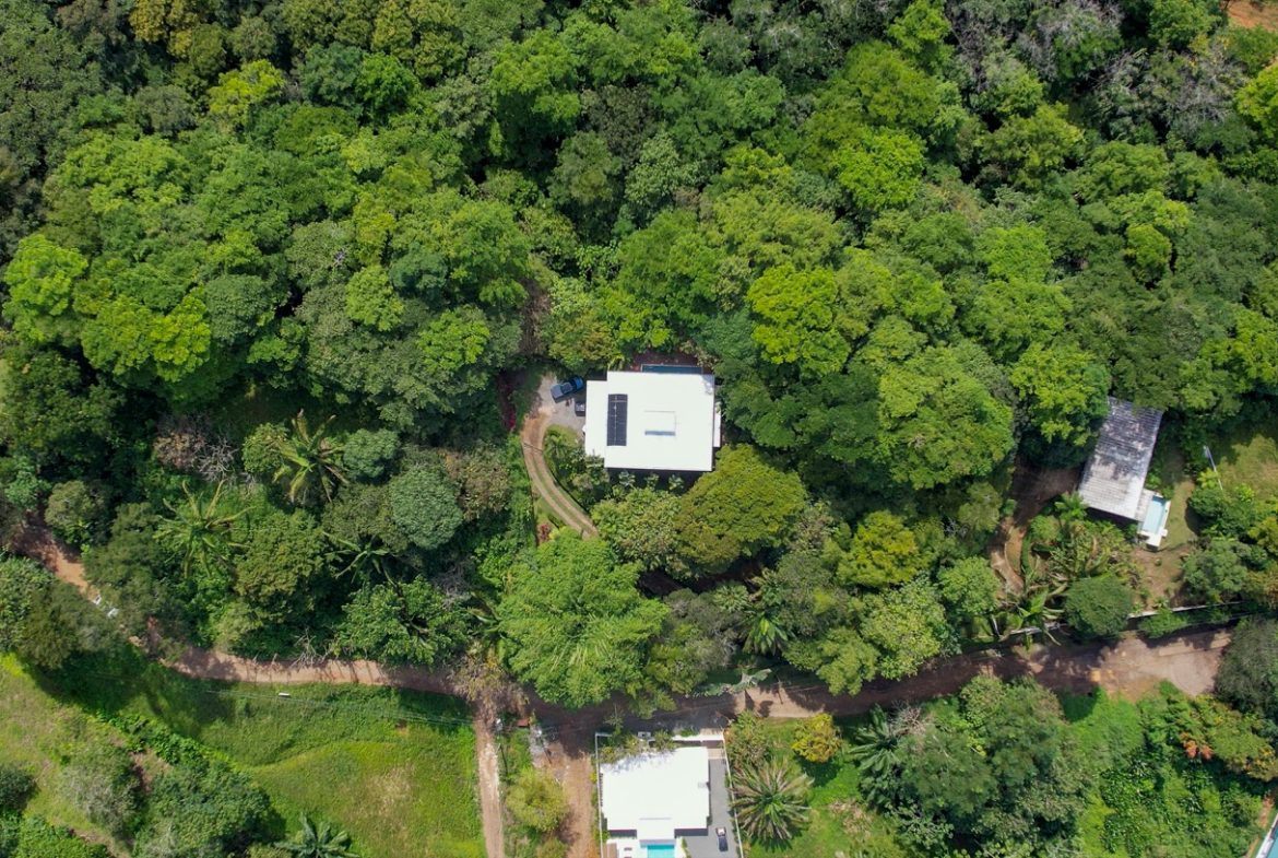 JUNGLE PROPERTY WITH THREE BEDROOMS, IN LOS JARDINES DEL MORETE UVITA – 1.89 ACRES