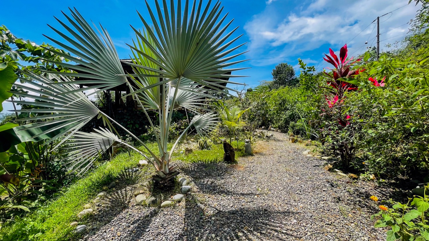 Property For Sale in Ojochal Costa Rica