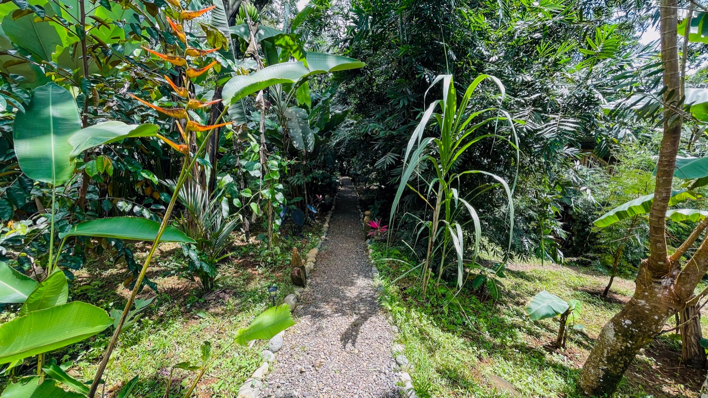 Property For Sale in Ojochal Costa Rica