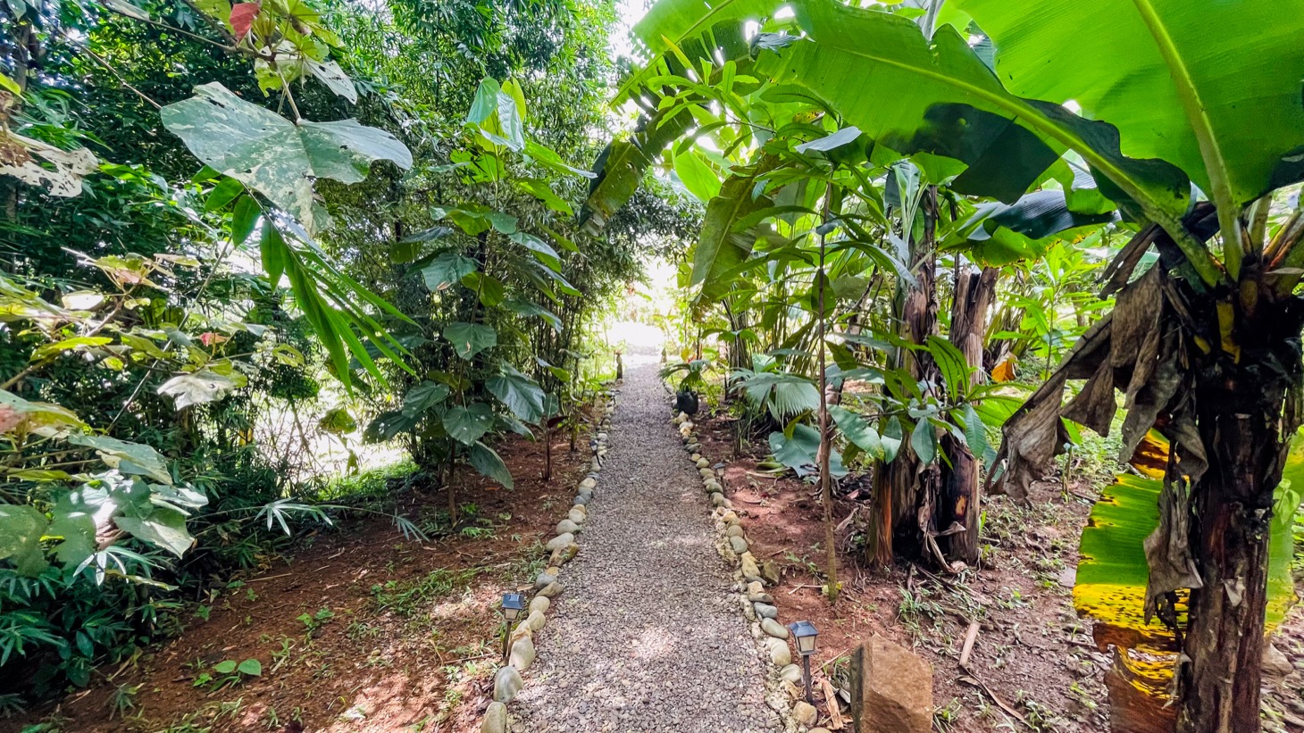 Property For Sale in Ojochal Costa Rica