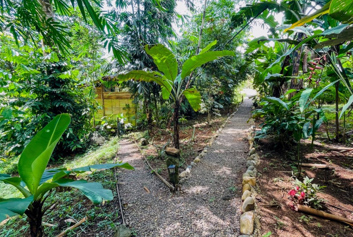 CABIN OF ONE BEDROOM WITH EXTRA BUILDING LOT NEAR TO THE RIVER,  IN OJOCHAL – 1.73 ACRES