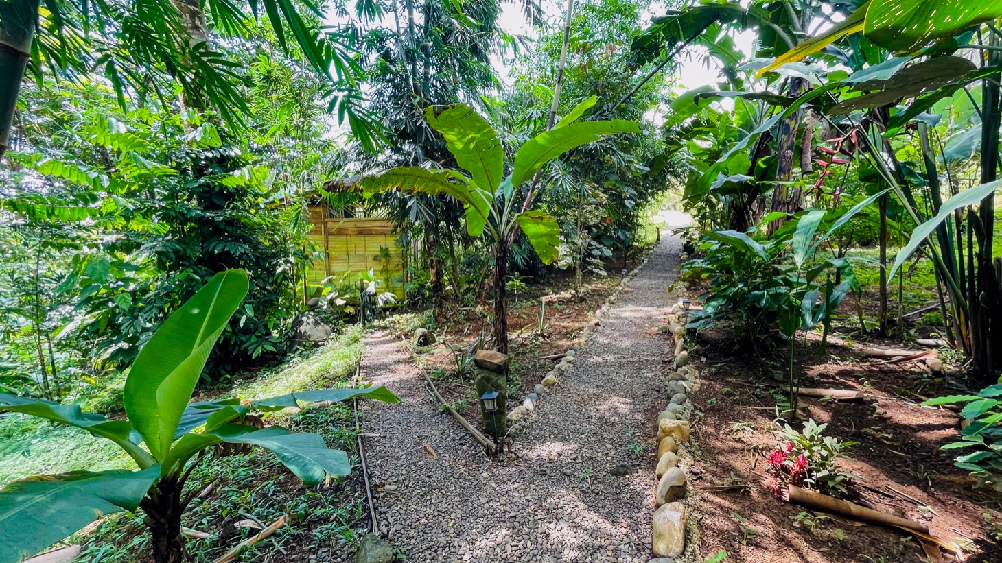Property For Sale in Ojochal Costa Rica