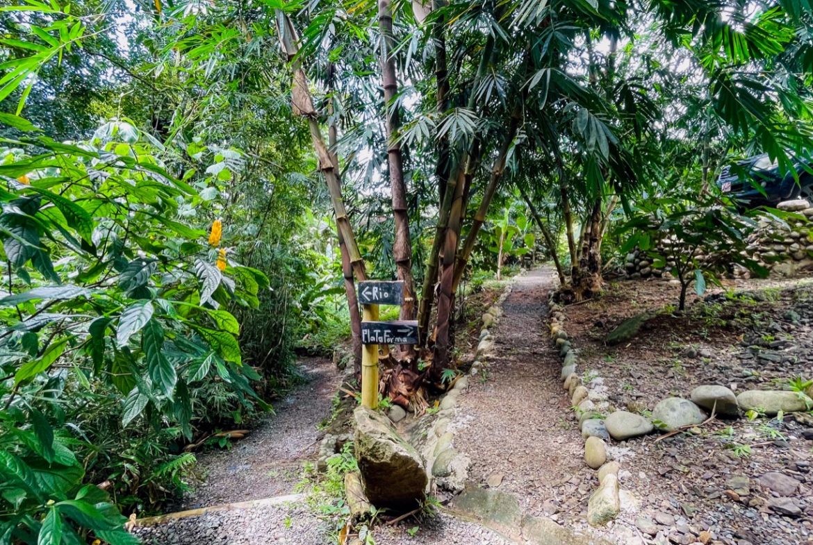 CABIN OF ONE BEDROOM WITH EXTRA BUILDING LOT NEAR TO THE RIVER,  IN OJOCHAL – 1.73 ACRES