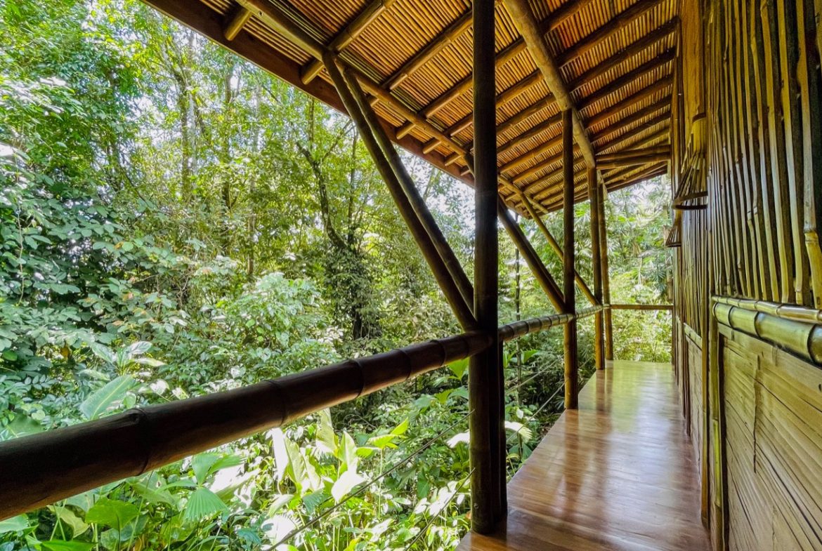 CABIN OF ONE BEDROOM WITH EXTRA BUILDING LOT NEAR TO THE RIVER,  IN OJOCHAL – 1.73 ACRES