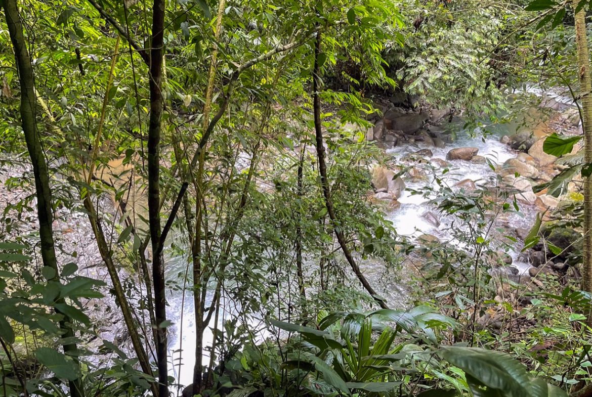CABIN OF ONE BEDROOM WITH EXTRA BUILDING LOT NEAR TO THE RIVER,  IN OJOCHAL – 1.73 ACRES