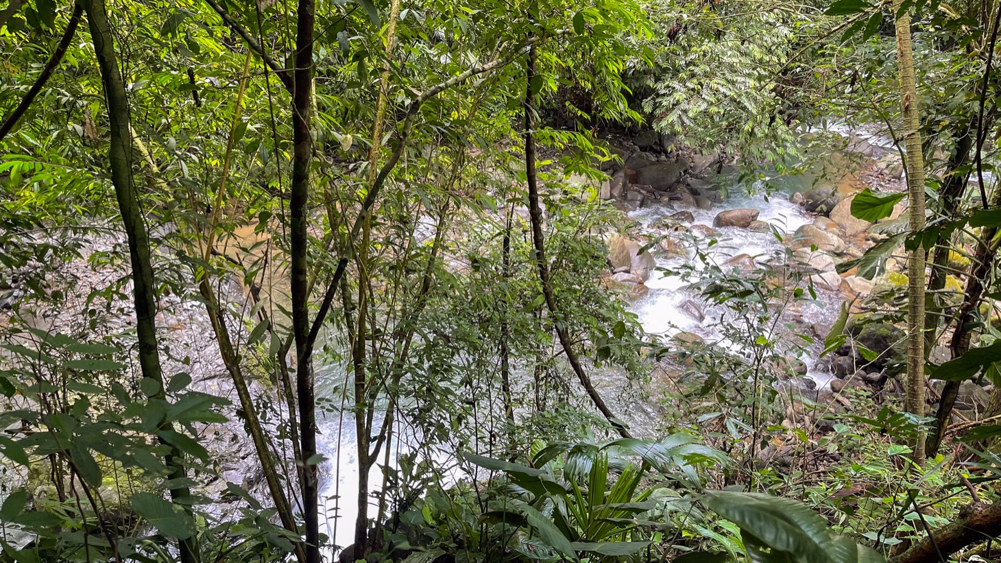 Property For Sale in Ojochal Costa Rica