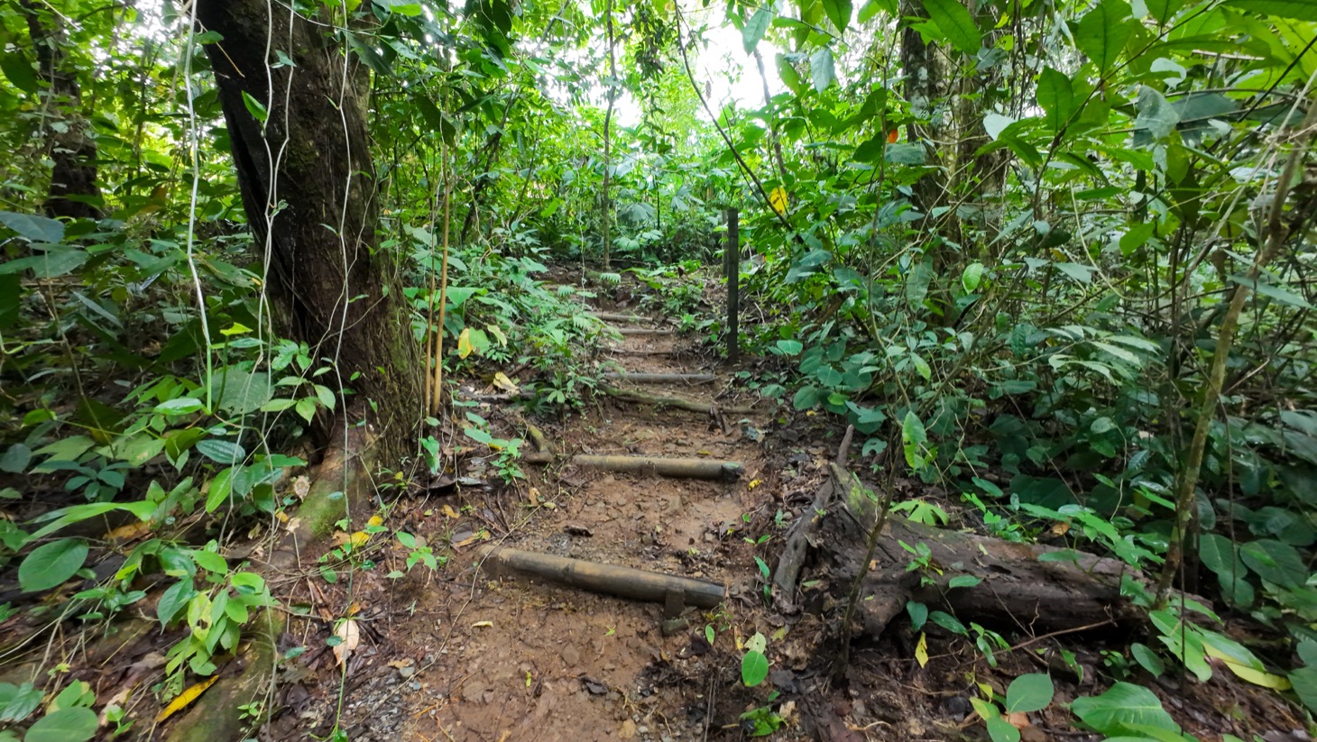 Property For Sale in Ojochal Costa Rica