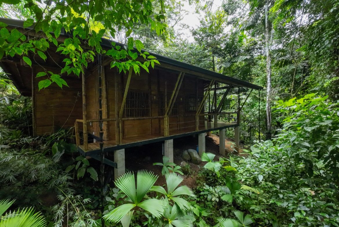 CABIN OF ONE BEDROOM WITH EXTRA BUILDING LOT NEAR TO THE RIVER,  IN OJOCHAL – 1.73 ACRES