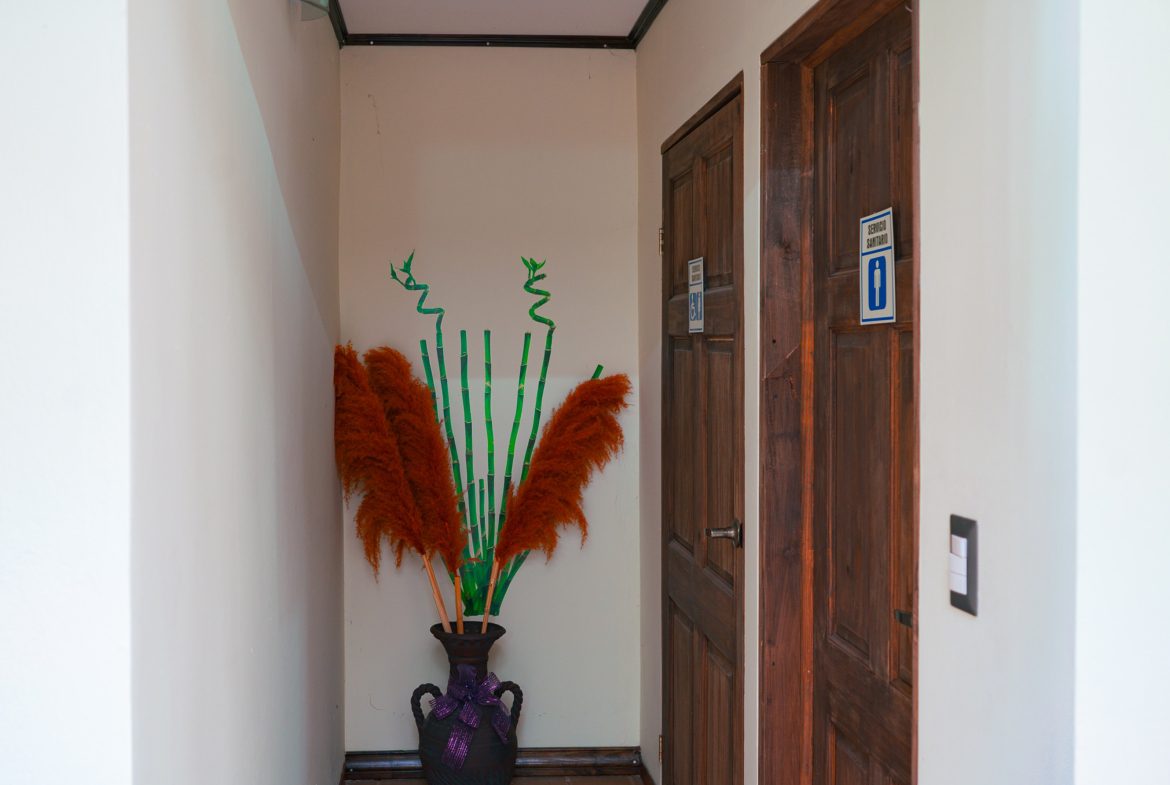 OFFICE PROPERTY WITH TEN ROOMS, IN SAN ISIDRO DEL GENERAL – 0.24 ACRES
