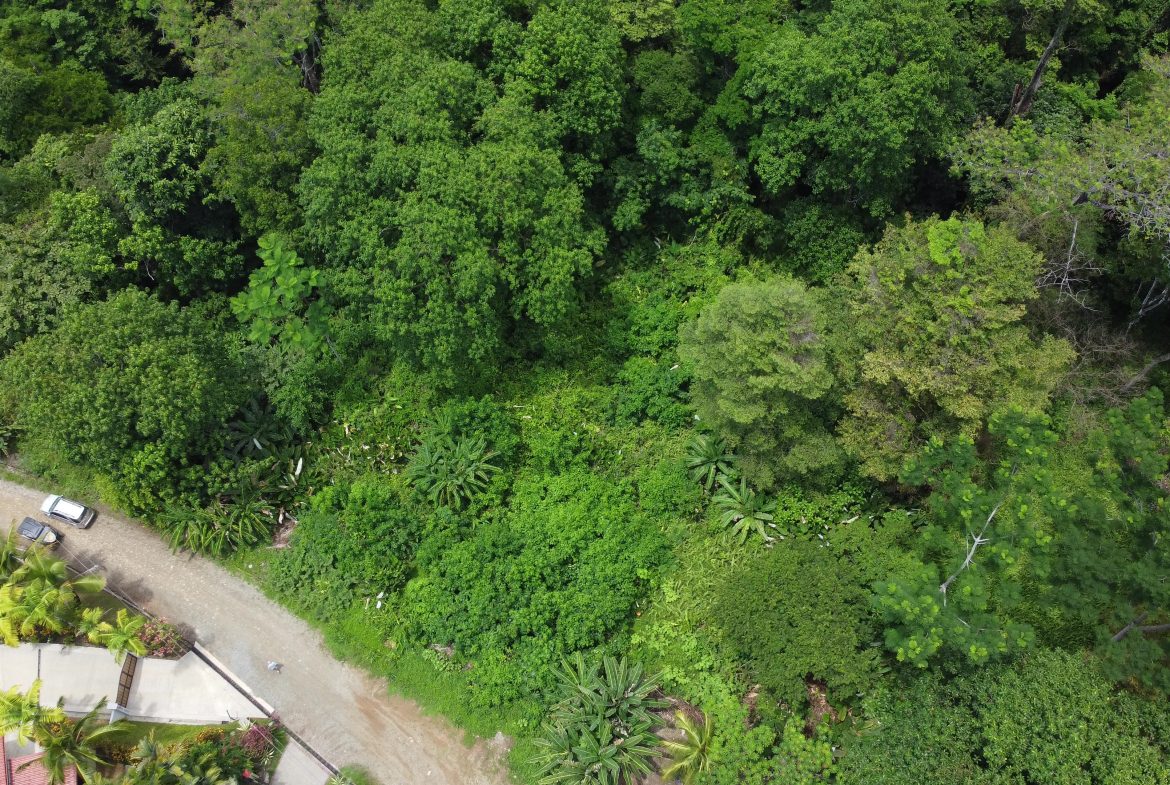 JUNGLE BUILDING PROPERTY WITH  PUBLIC ROAD IN FRONT, IN CINCO VENTANAS – 0.99 ACRES