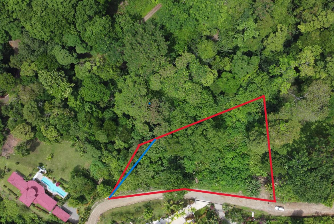 JUNGLE BUILDING PROPERTY WITH  PUBLIC ROAD IN FRONT, IN CINCO VENTANAS – 0.99 ACRES