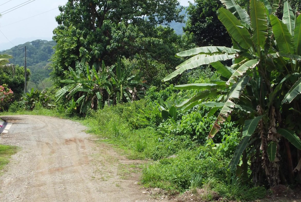 JUNGLE BUILDING PROPERTY WITH  PUBLIC ROAD IN FRONT, IN CINCO VENTANAS – 0.99 ACRES