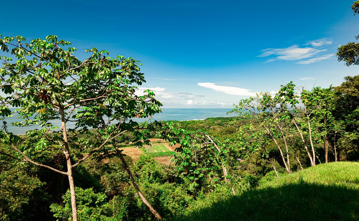 DEVELOPMENT PROPERTY WITH OCEAN VIEWS AND A PRIVATE CASCADE, IN GUAPIL – 12.7 ACRES