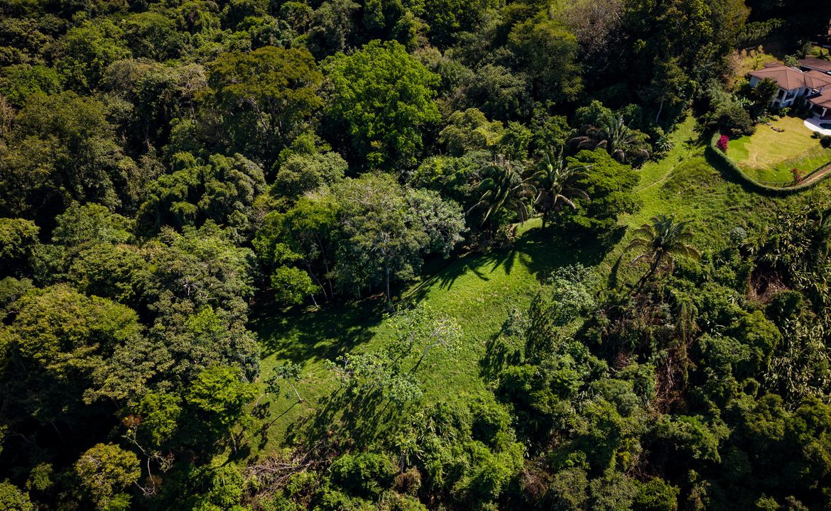 DEVELOPMENT PROPERTY WITH OCEAN VIEWS AND A PRIVATE CASCADE, IN GUAPIL – 12.7 ACRES