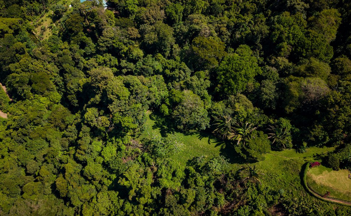 DEVELOPMENT PROPERTY WITH OCEAN VIEWS AND A PRIVATE CASCADE, IN GUAPIL – 12.7 ACRES