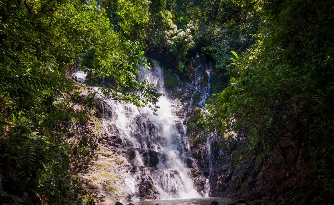DEVELOPMENT PROPERTY WITH OCEAN VIEWS AND A PRIVATE CASCADE, IN GUAPIL – 12.7 ACRES