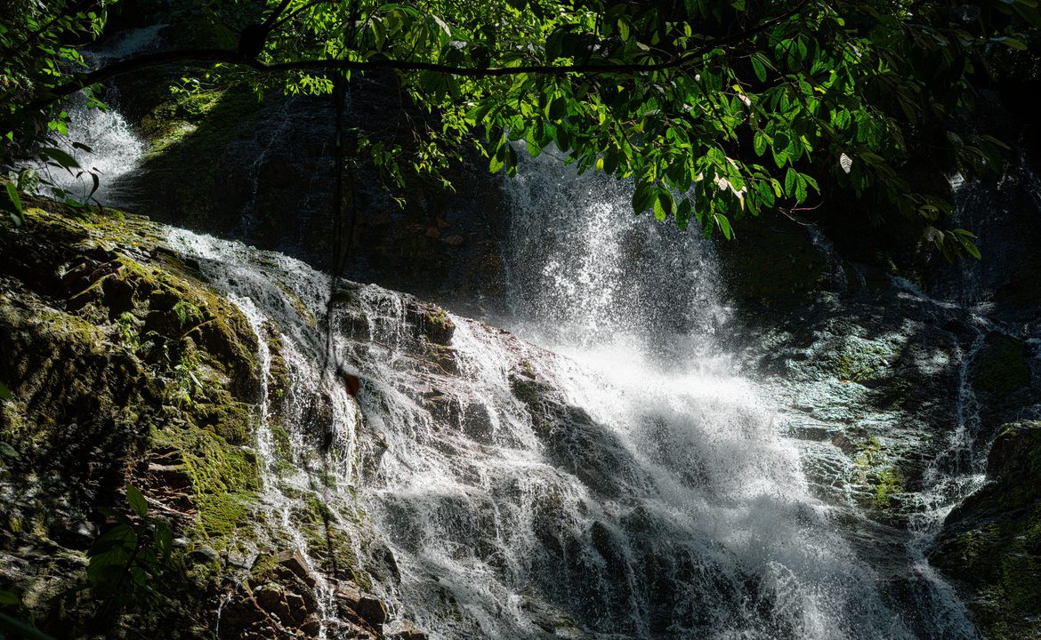 DEVELOPMENT PROPERTY WITH OCEAN VIEWS AND A PRIVATE CASCADE, IN GUAPIL – 12.7 ACRES