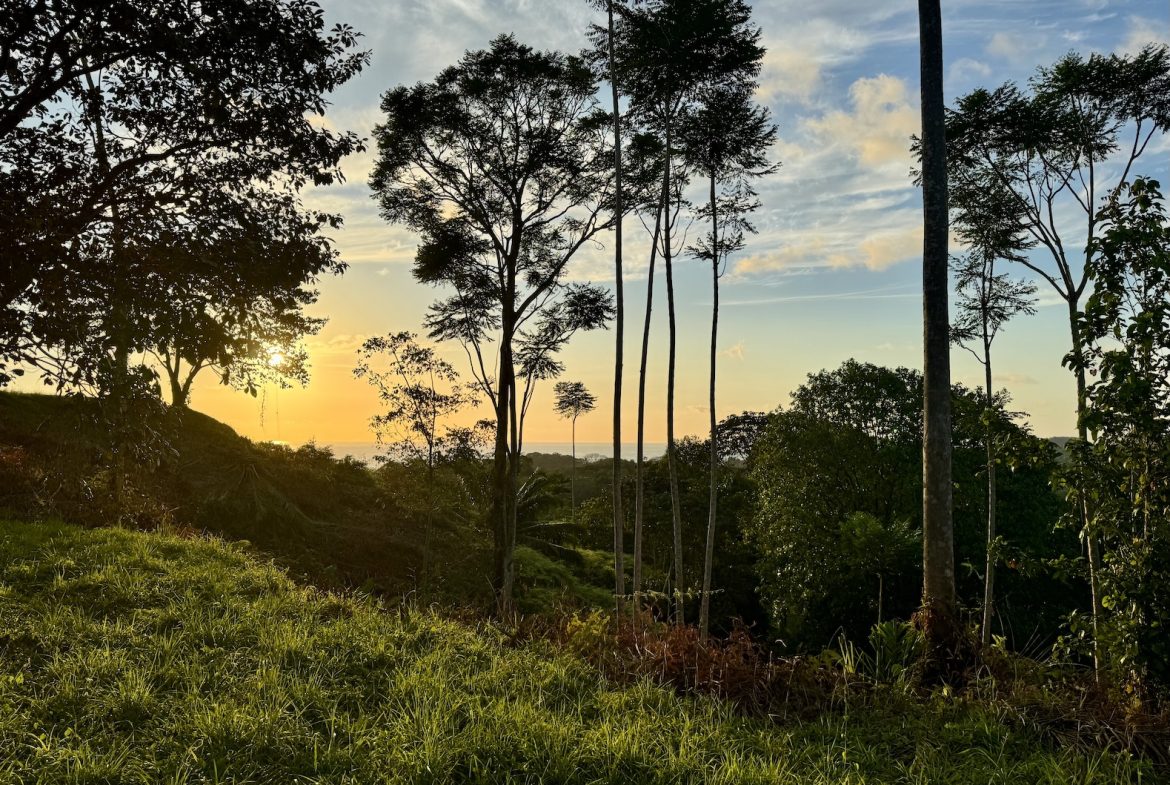 MOUNTAIN PROPERTY WITH OCEAN VIEWS AND SUNSET, IN OJOCHAL – 1.92 ACRES