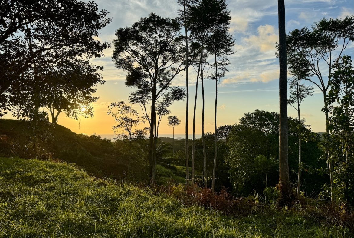 TWO EXCLUSIVE LOTS WITH PANORAMIC OCEAN AND SUNSET VIEWS, IN OJOCHAL – 5.32 ACRES