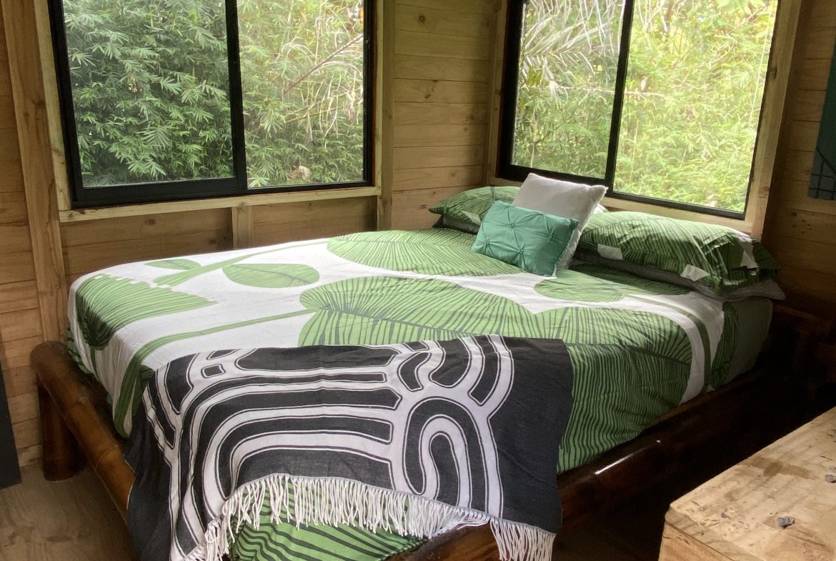 CASA SIRENA PROPERTY WITH TWO BEDROOM IN THE MIDDLE IN THE NATURE, IN OJOCHAL – 1.3 ACRES