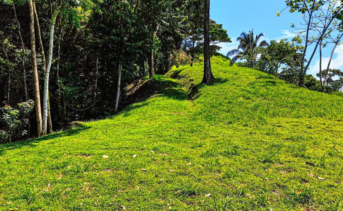 DEVELOPMENT PROPERTY WITH OCEAN VIEWS AND A PRIVATE CASCADE, IN GUAPIL – 12.7 ACRES