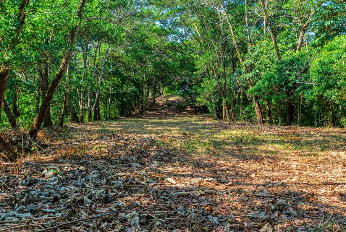 BUILDING PROPERTY A STEPS OF BAHIA CENTER, IN BAHIA BALLENA – 5.65 ACRES