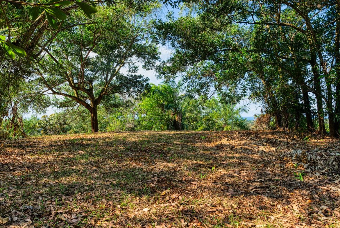 BUILDING PROPERTY A STEPS OF BAHIA CENTER, IN BAHIA BALLENA – 5.65 ACRES