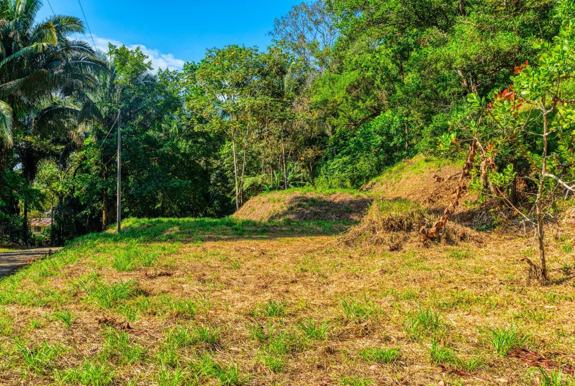 BUILDING PROPERTY A STEPS OF BAHIA CENTER, IN BAHIA BALLENA – 5.65 ACRES
