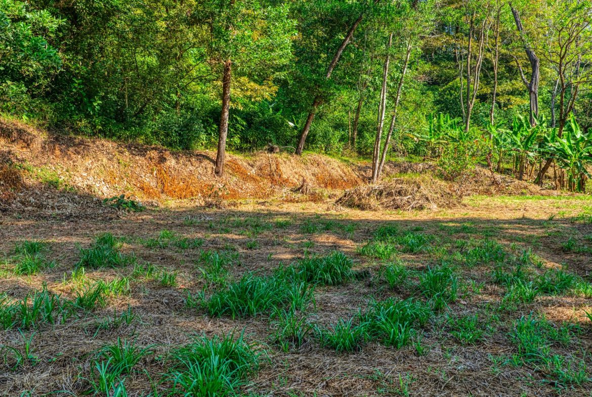 BUILDING PROPERTY A STEPS OF BAHIA CENTER, IN BAHIA BALLENA – 5.65 ACRES