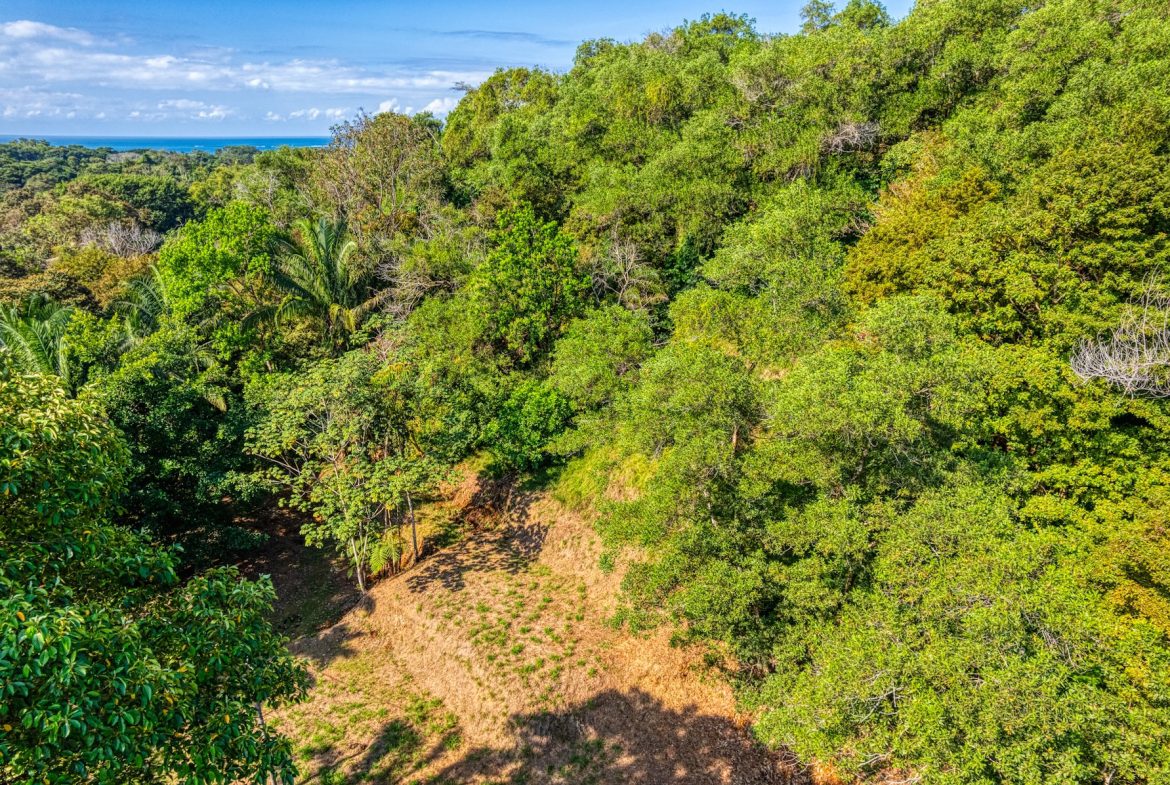 BUILDING PROPERTY A STEPS OF BAHIA CENTER, IN BAHIA BALLENA – 5.65 ACRES