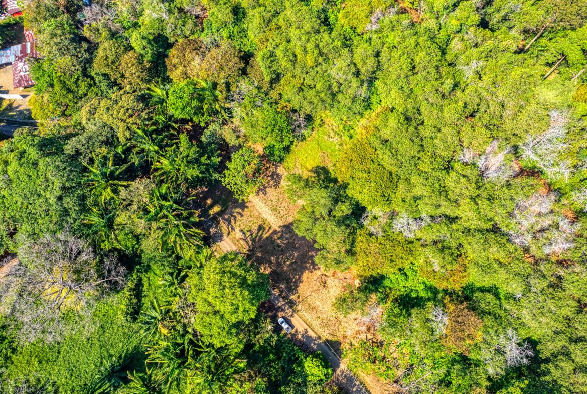 BUILDING PROPERTY A STEPS OF BAHIA CENTER, IN BAHIA BALLENA – 5.65 ACRES