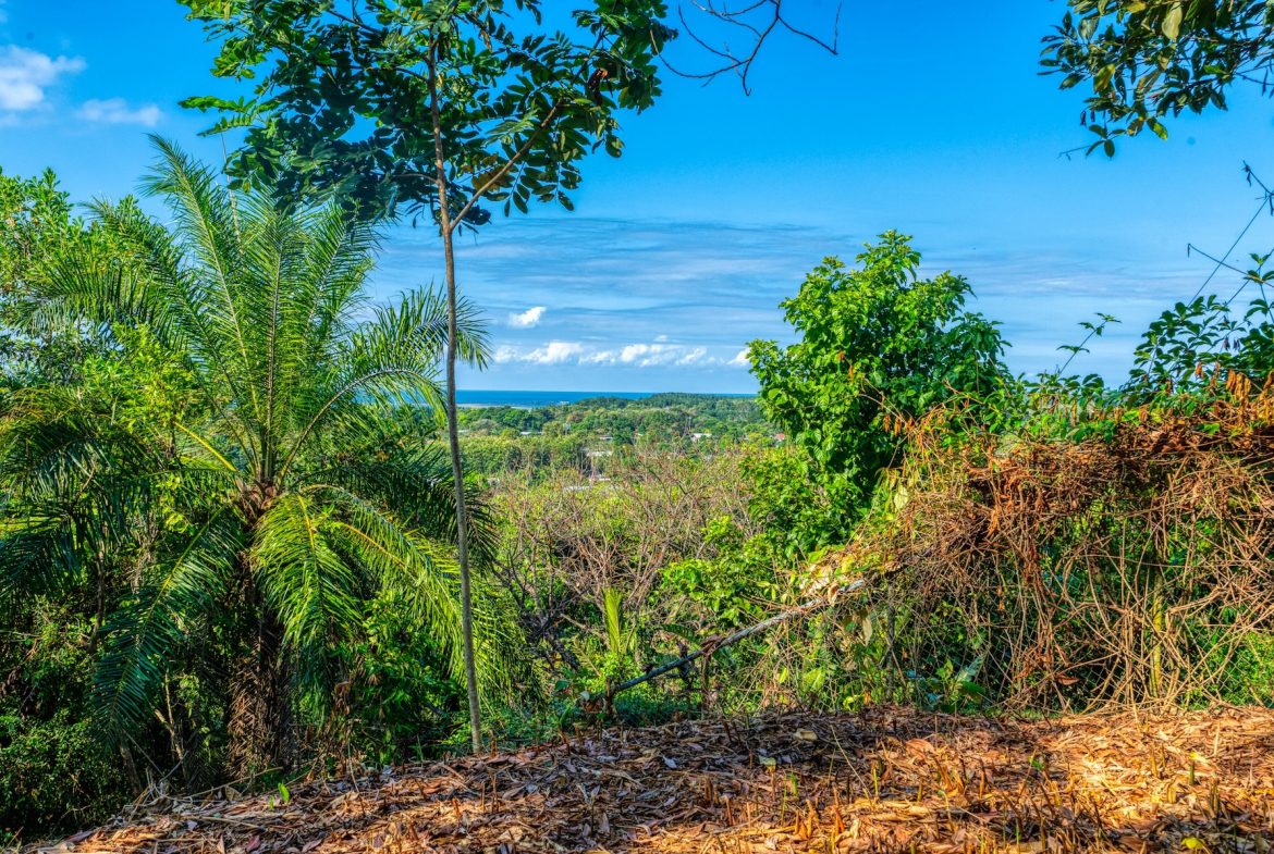 BUILDING PROPERTY A STEPS OF BAHIA CENTER, IN BAHIA BALLENA – 5.65 ACRES