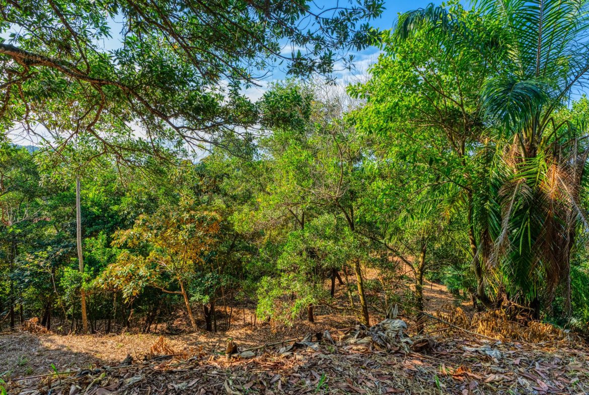 BUILDING PROPERTY A STEPS OF BAHIA CENTER, IN BAHIA BALLENA – 5.65 ACRES