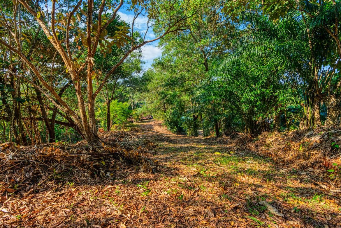 BUILDING PROPERTY A STEPS OF BAHIA CENTER, IN BAHIA BALLENA – 5.65 ACRES
