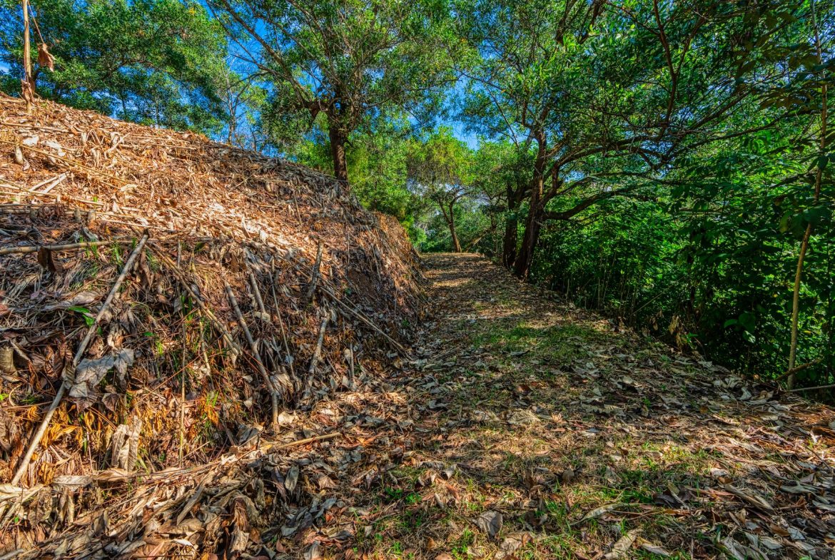 BUILDING PROPERTY A STEPS OF BAHIA CENTER, IN BAHIA BALLENA – 5.65 ACRES