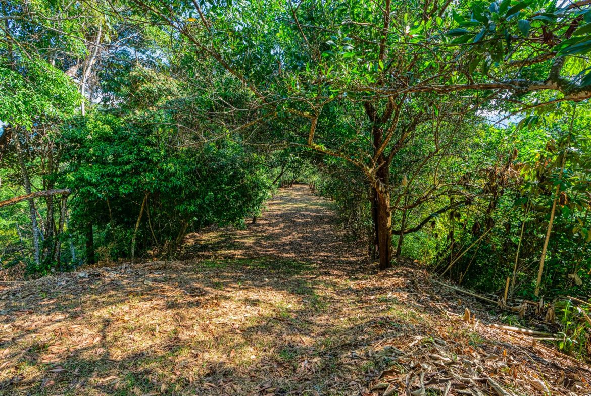 BUILDING PROPERTY A STEPS OF BAHIA CENTER, IN BAHIA BALLENA – 5.65 ACRES