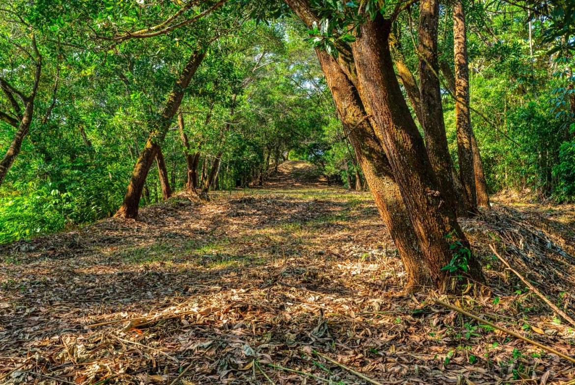 BUILDING PROPERTY A STEPS OF BAHIA CENTER, IN BAHIA BALLENA – 5.65 ACRES