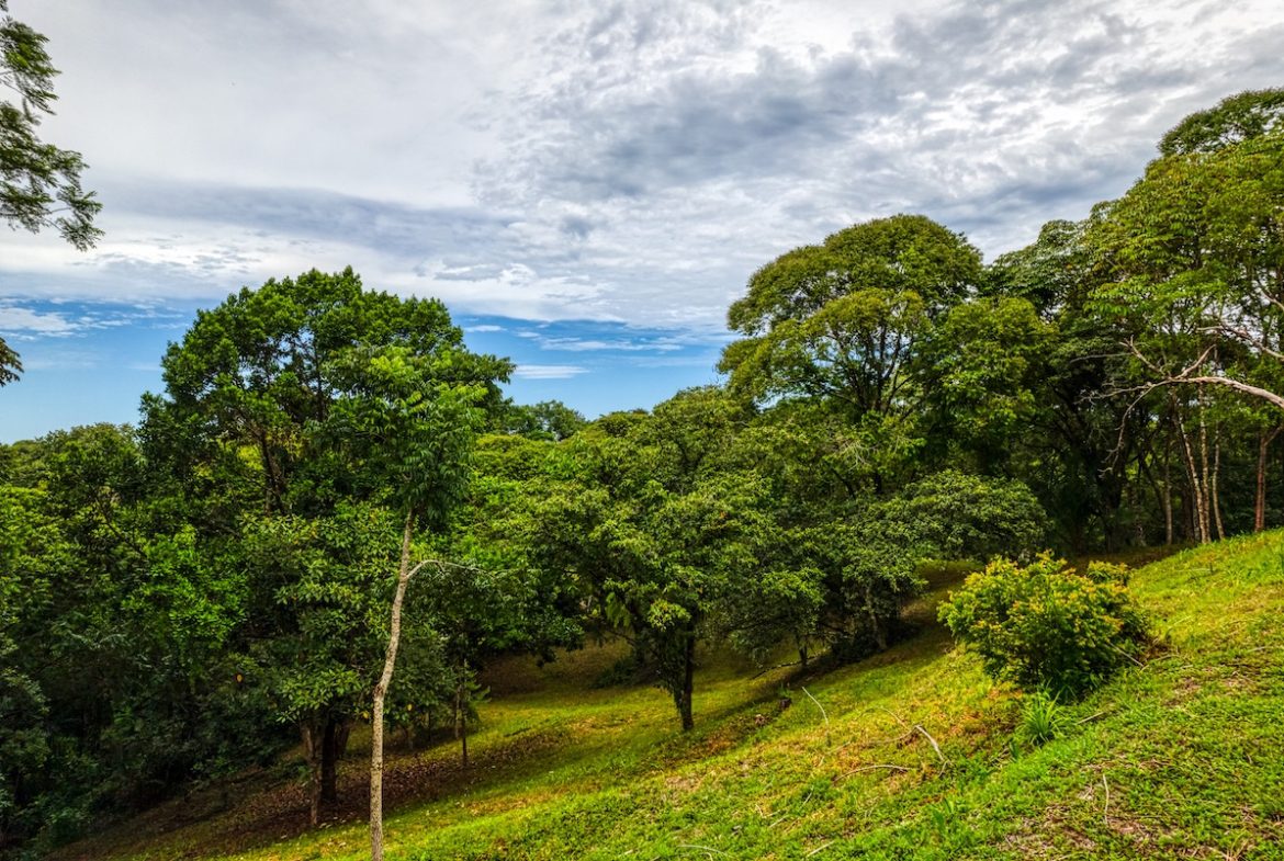 BUILDING PROPERTY WITH MOUNTAIN VIEWS A STEPS OF OJOCHAL – 2.64 ACRES