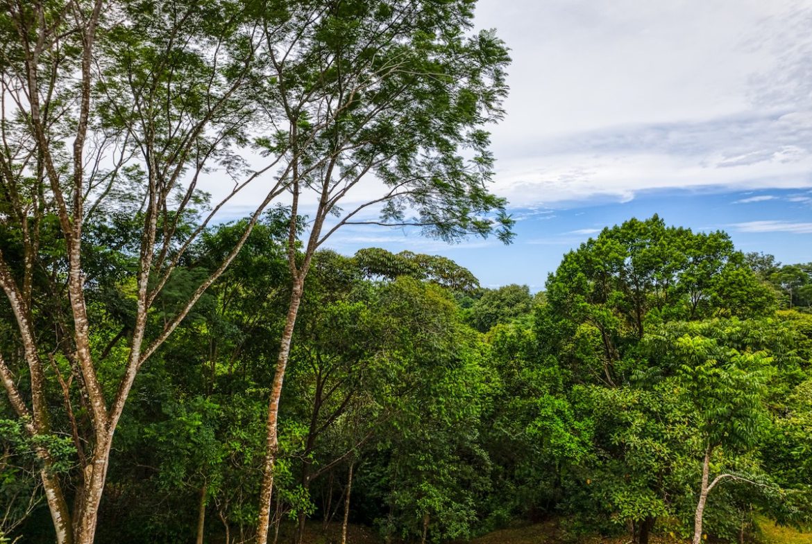 BUILDING PROPERTY WITH MOUNTAIN VIEWS A STEPS OF OJOCHAL – 2.64 ACRES