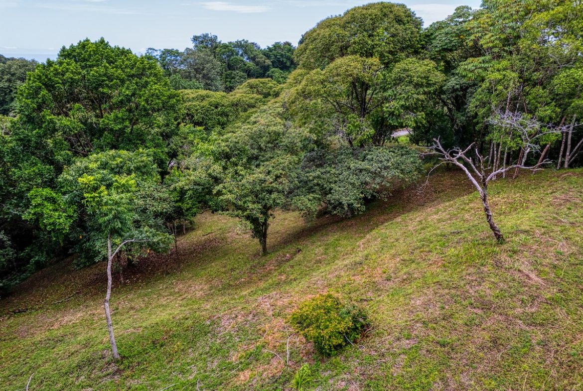 BUILDING PROPERTY WITH MOUNTAIN VIEWS A STEPS OF OJOCHAL – 2.64 ACRES