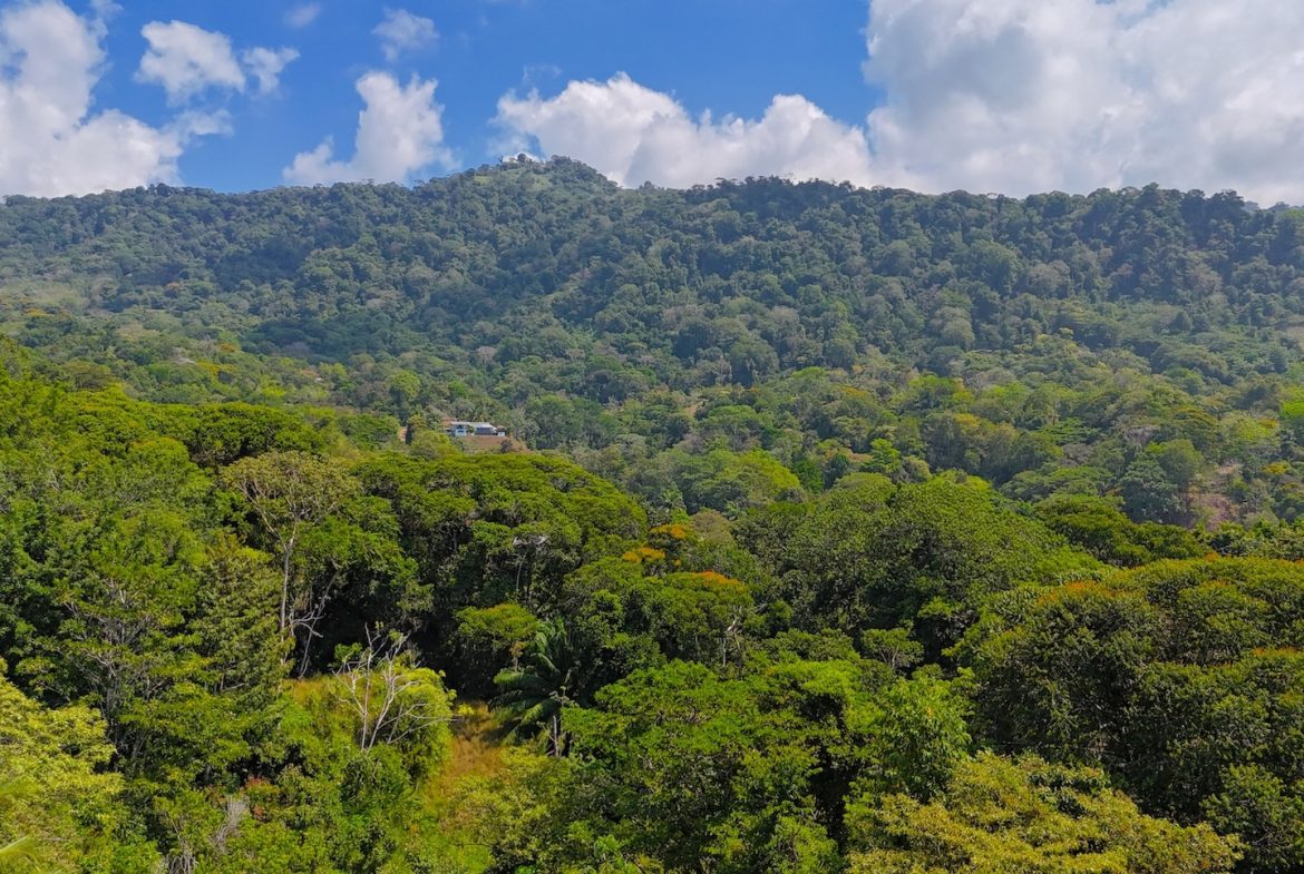 BUILDING PROPERTY WITH OCEAN VIEWS, IN PUERTO NUEVO – 2.22 ACRES