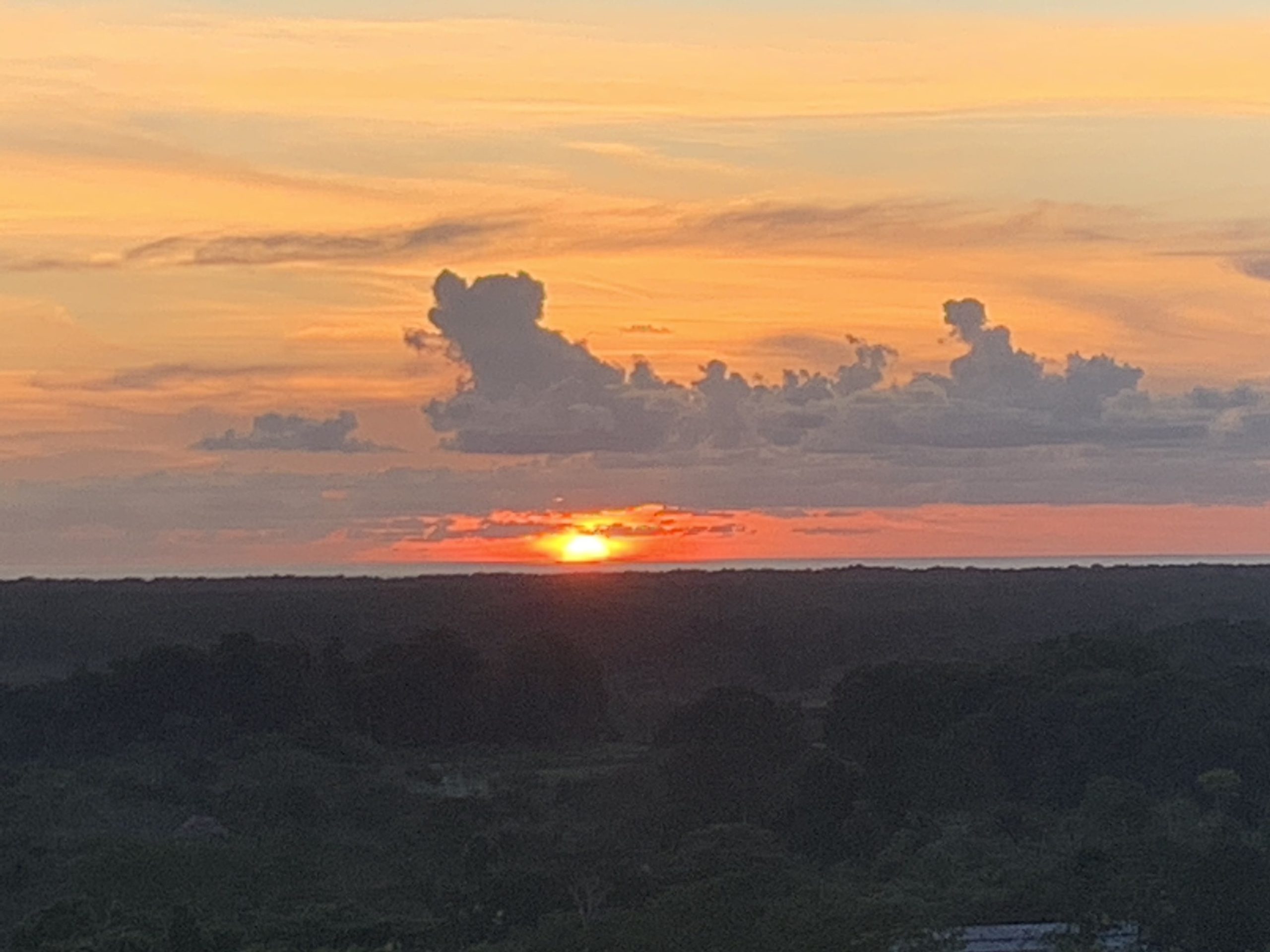 Photo 16-3-21, 5 44 57 PM