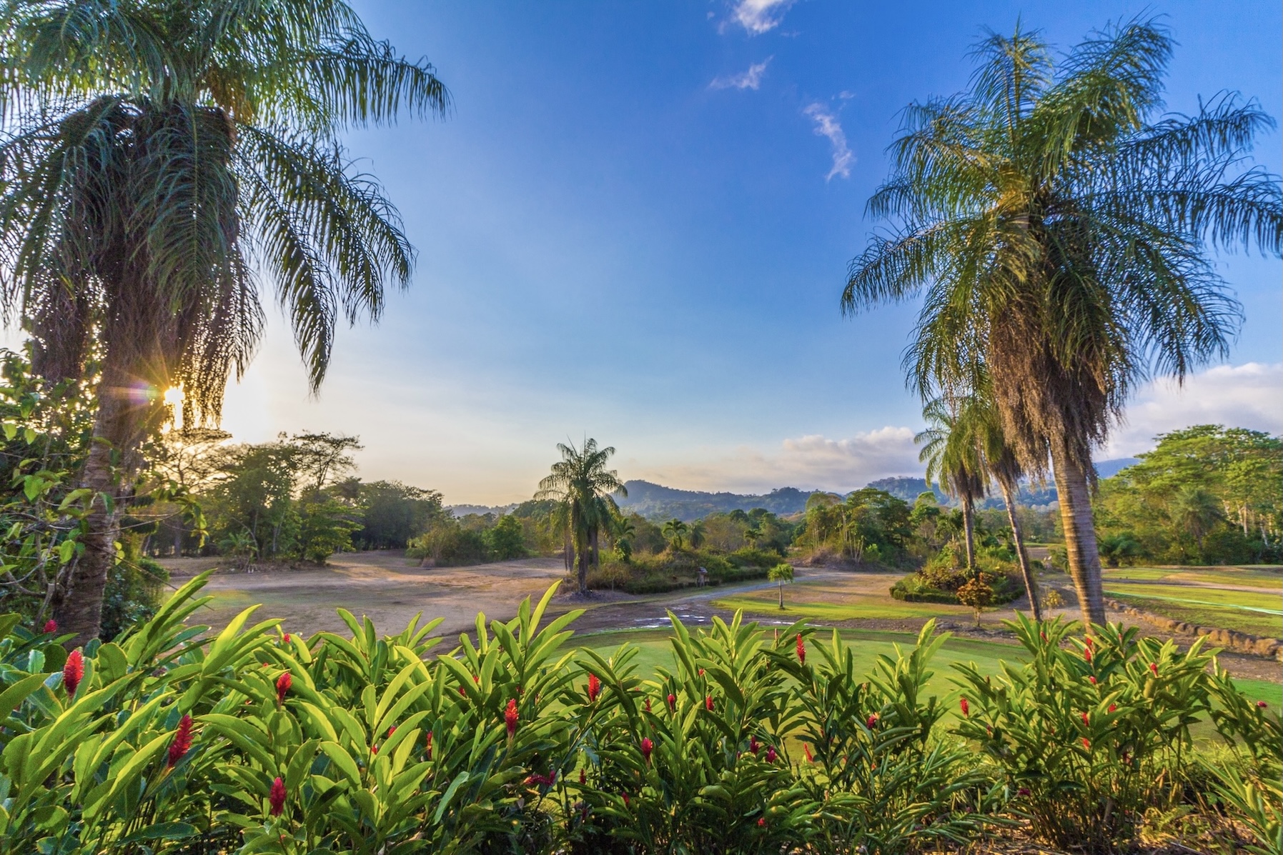 Photo 3-4-19, 8 19 08 PM