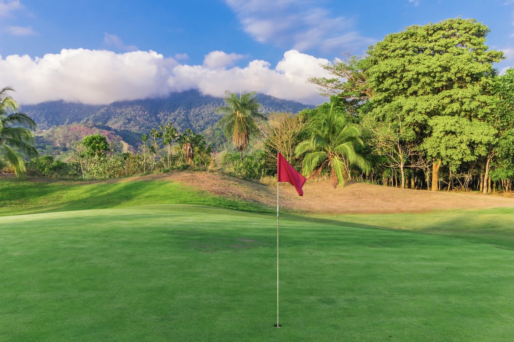 Photo 3-4-19, 8 19 31 PM